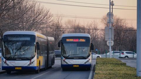 公交與道路旅客運輸經(jīng)營 城市交通動脈的運營與管理